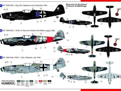 Bf 109 G6 AS Special Markings