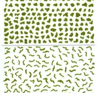 1/48 Italian Amoebas and Breda Worms