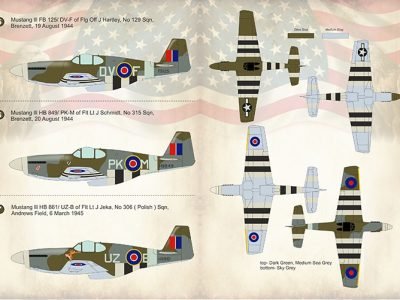 1/72 V1 Flying Bomb Aces- Mustang