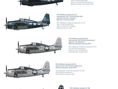 1/72 Grumman FM-2 Wildcat Expert Set