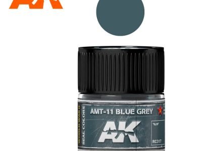 RC 317 AMT-11 Blue Grey