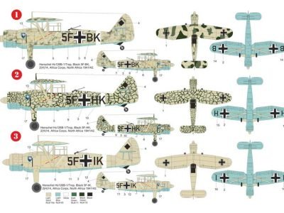 Henschel Hs-126B over Africa