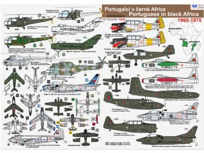 Portuguese in Black Africa  1960-1975