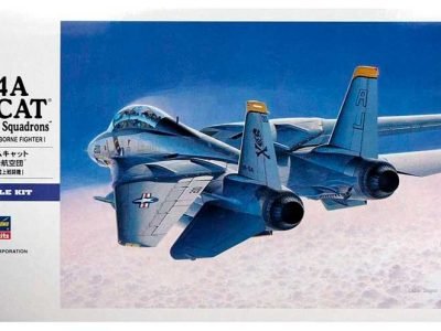 F-14 Tomcat Atlantic Fleet Squadrons