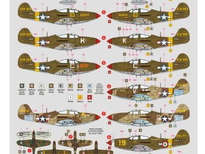 P-39/ P-400 Airacobra in Africa and Italy