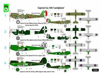 Caproni Ca.100 Landplane