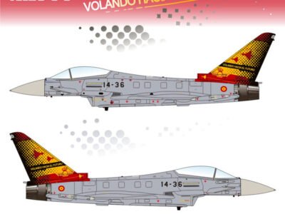 VOLANDO HACIA EL FUTURO  ALA 14 – EFA 2000