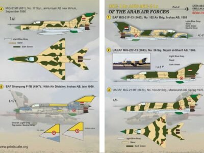Mig-19 and Mig-21 of the Arab Air Force Part 2