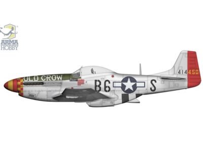 P-51 D Mustang